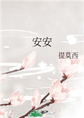 安安小说封面